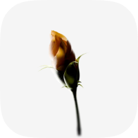 Чекап продукта